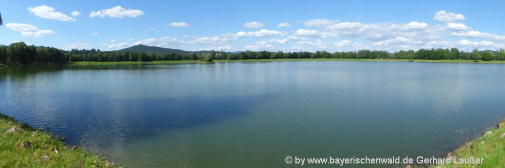 Freizeitmöglichkeiten Bayerischer Wald Angeln im Satzdorfer See bei Cham